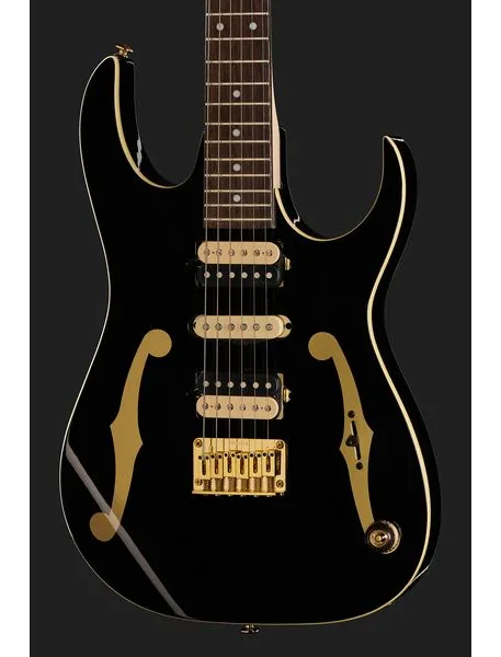 Ibanez PGM50-BK, detalje 4