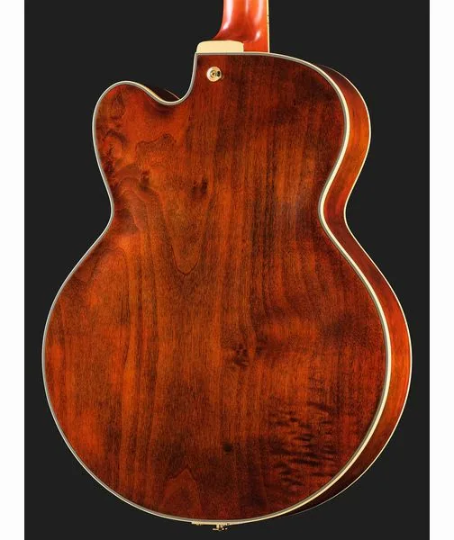 Ibanez PM3C-NAL Pat Metheny, detalje 5