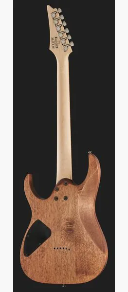 Ibanez RG421-MOL, detalje 3
