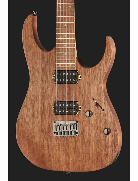 Ibanez RG421-MOL, detalje 4