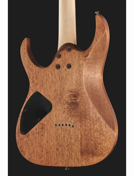 Ibanez RG421-MOL, detalje 5