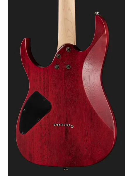 Ibanez RG421PB-CHF, detalje 5