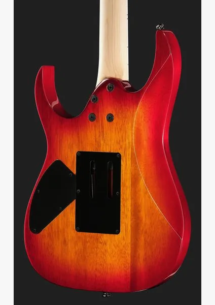 Ibanez RG470DXFM-CS, detalje 5