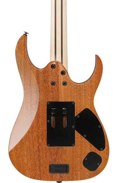 Ibanez RG5120ML-FCN LH, detalje 5