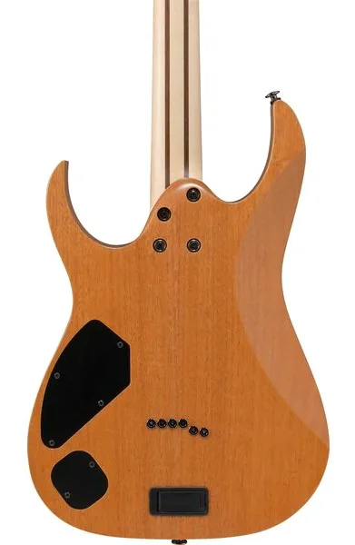 Ibanez RG5121R-DBF, detalje 5