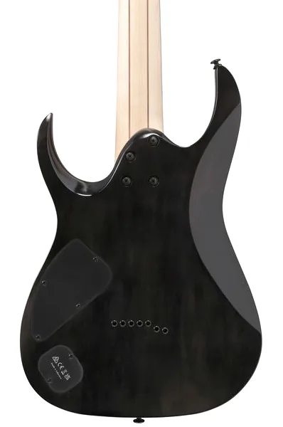 Ibanez RGA217P1PBDRL, detalje 5