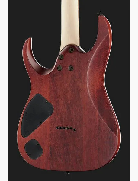 Ibanez RGA42FM-DEF, detalje 5