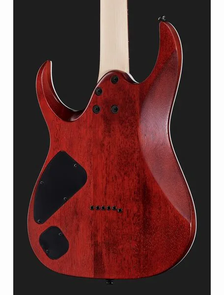 Ibanez RGA42FM-TGF, detalje 5