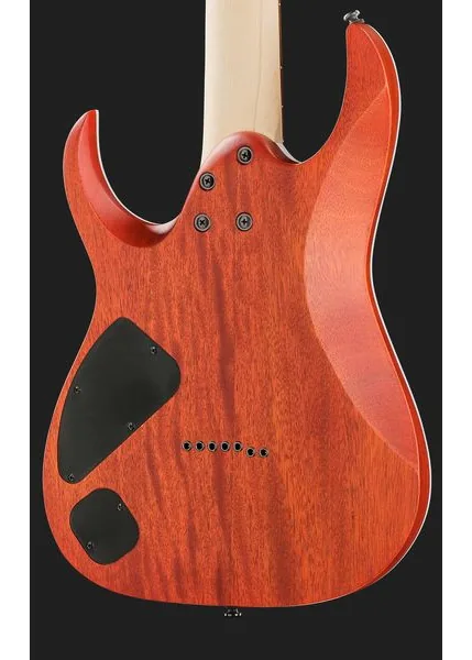 Ibanez RGA742FM-TGF, detalje 5