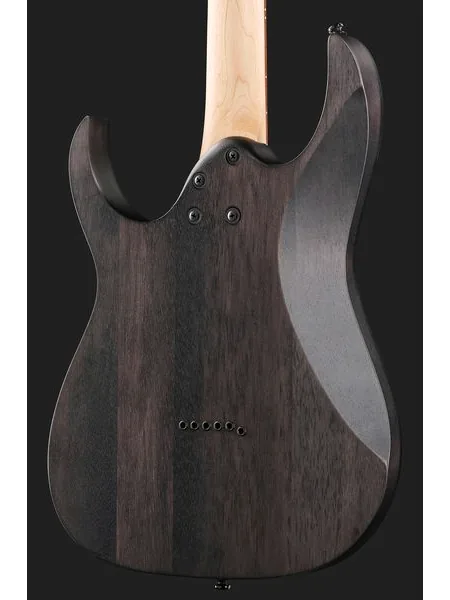 Ibanez RGR431PB-CGF, detalje 5