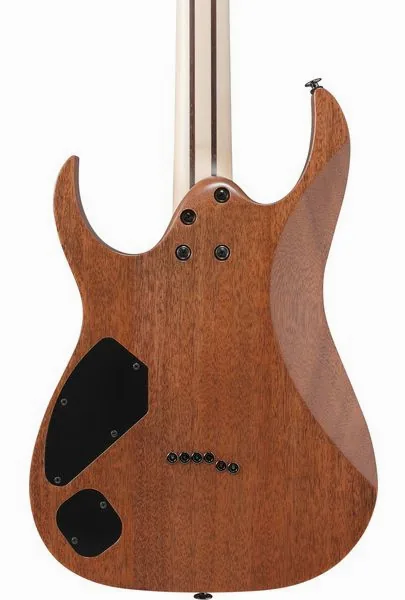 Ibanez RGR5221R-TFR, detalje 5
