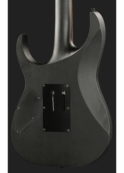 Ibanez RGRT420-WK, detalje 5