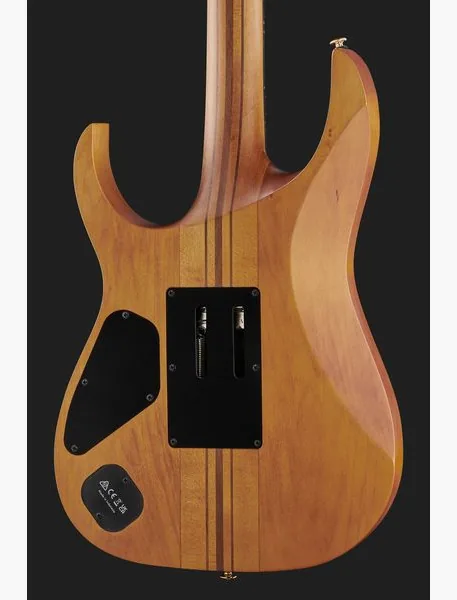 Ibanez RGT1220PB-ABS, detalje 5