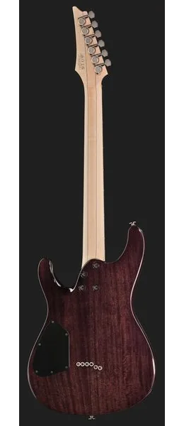 Ibanez S6621AH-TGB, detalje 3