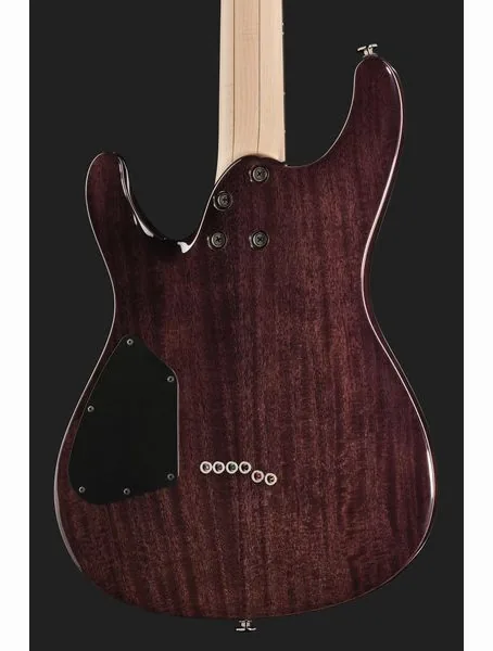 Ibanez S6621AH-TGB, detalje 5
