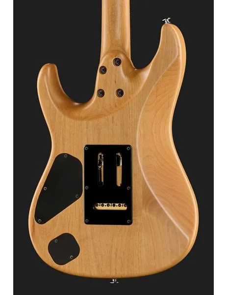 Ibanez TQM2-CUF, detalje 5