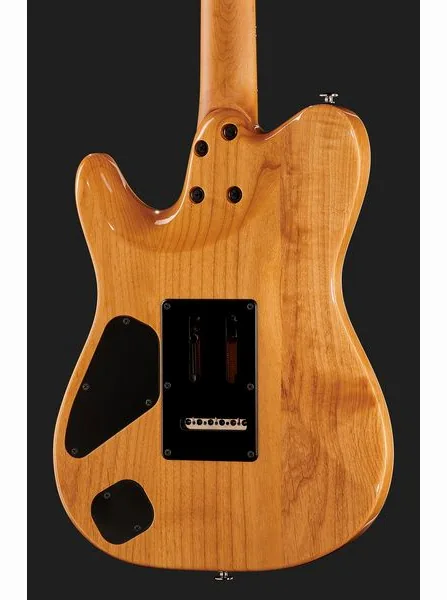 Ibanez TQMS1-CTB, detalje 5