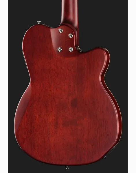 Larry Carlton G5N Natural LH, detalje 5