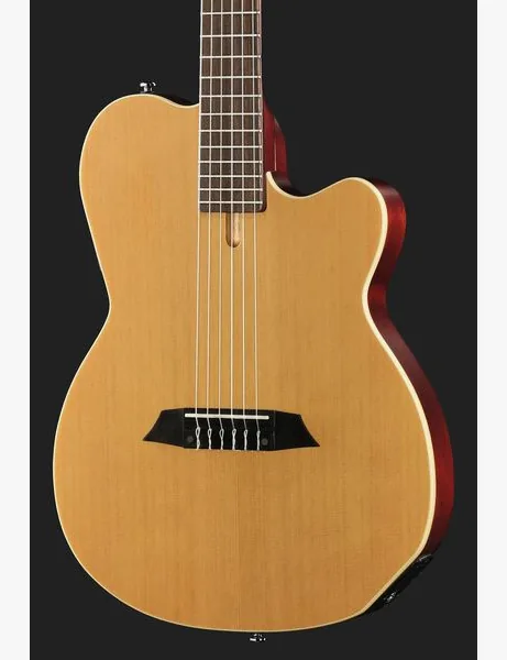 Larry Carlton G5N Natural, detalje 4