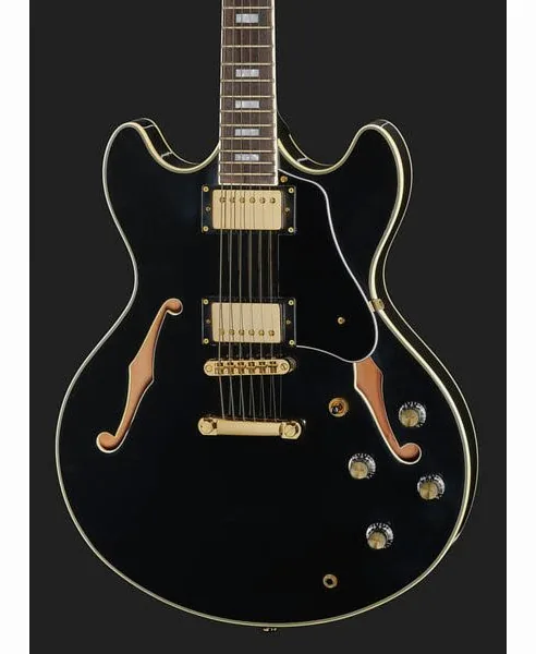 Larry Carlton H7 BK, detalje 4