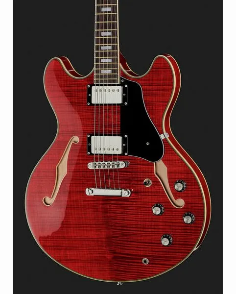 Larry Carlton H7 STR, detalje 4