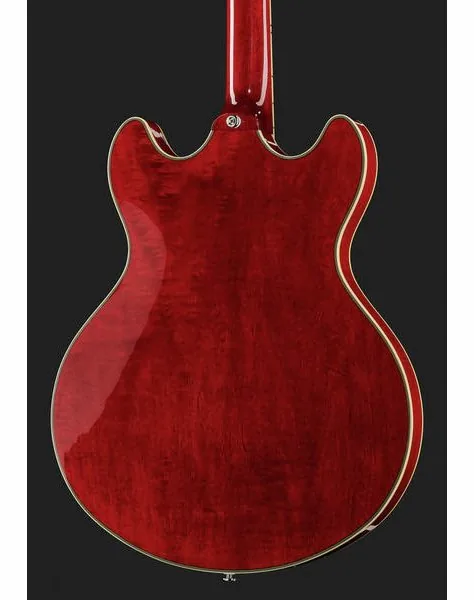 Larry Carlton H7 STR, detalje 5