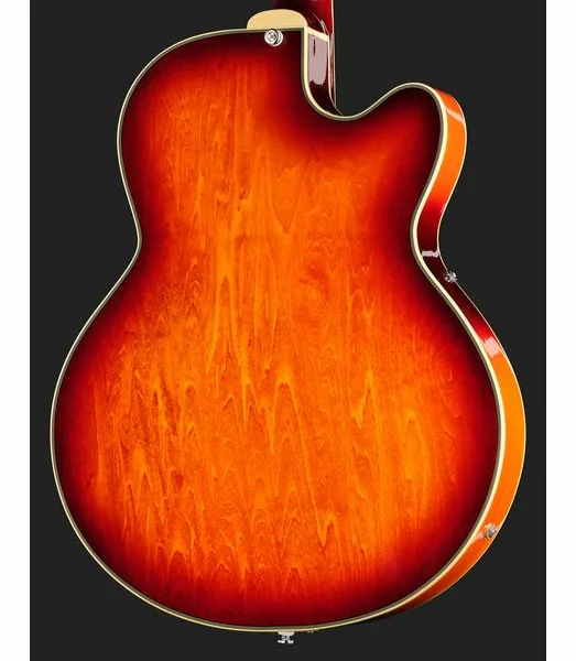 Larry Carlton H7F Tobacco Burst LH, detalje 5