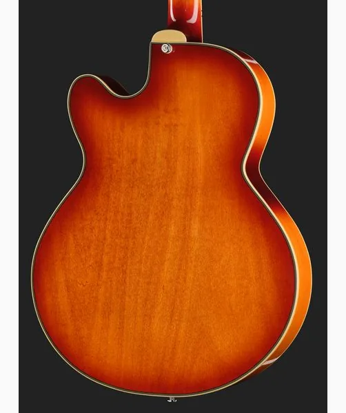 Larry Carlton H7F Tobacco Burst, detalje 5