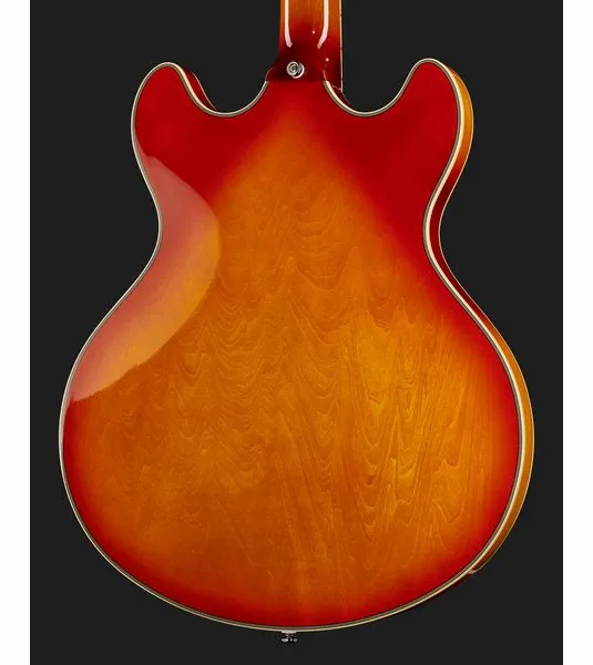Larry Carlton H7V CS, detalje 5