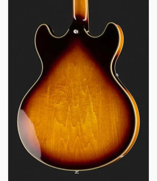 Larry Carlton H7V VS LH, detalje 5