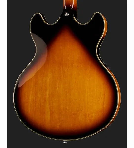 Larry Carlton H7V VS, detalje 5