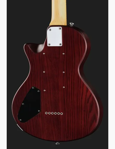 Larry Carlton I5L Tobacco Sunburst Satin, detalje 5