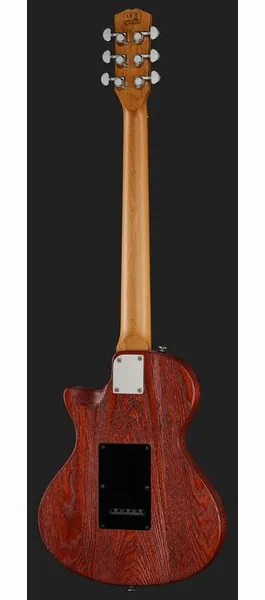 Larry Carlton I5S Tobacco Sunburst, detalje 3