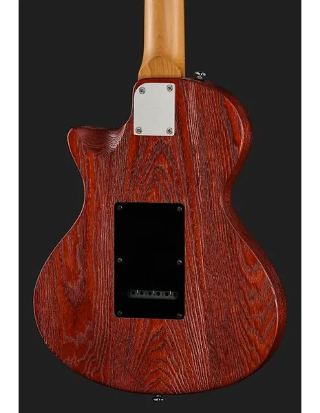 Larry Carlton I5S Tobacco Sunburst, detalje 5