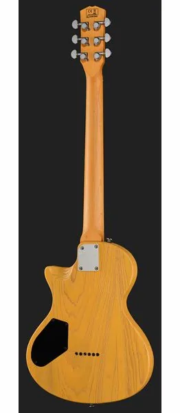 Larry Carlton I5T Butterscotch, detalje 3