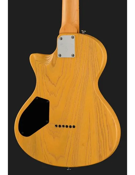Larry Carlton I5T Butterscotch, detalje 5