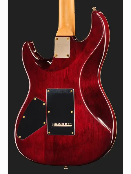 Larry Carlton S10 HSS Natural Burst, detalje 5