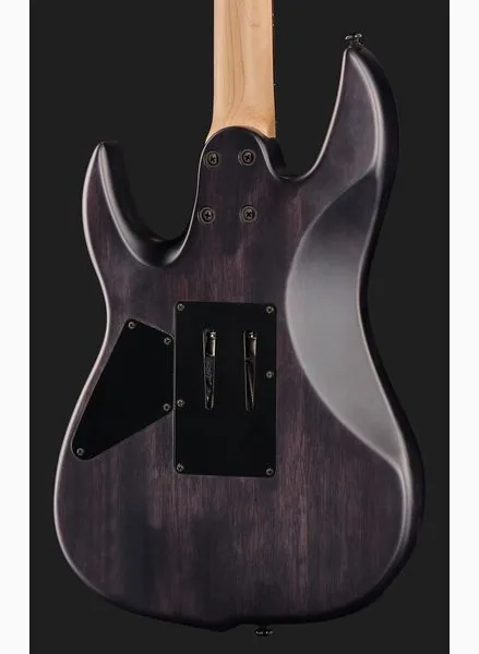 Larry Carlton X5 TBKS, detalje 5