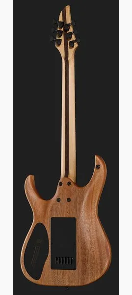Mayones Guitars Duvell Elite 4Ever 6 PB, detalje 3