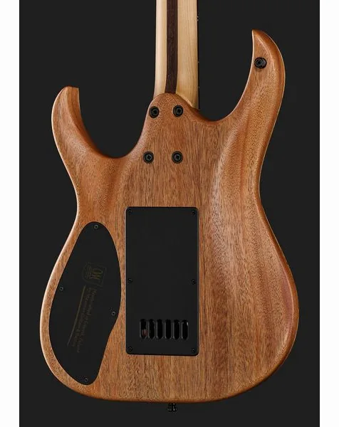 Mayones Guitars Duvell Elite 4Ever 6 PB, detalje 5