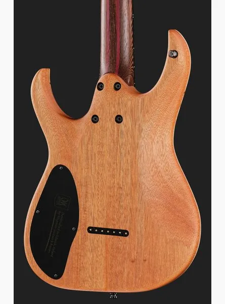 Mayones Guitars Duvell Elite 7 Baritone TBB, detalje 5