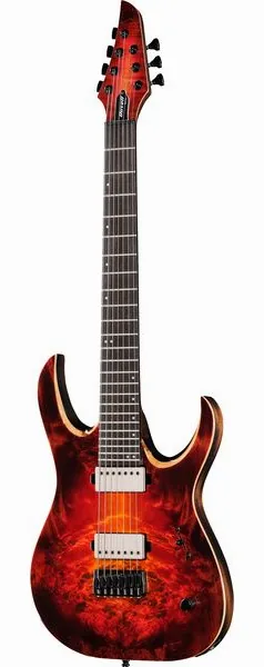 Mayones Guitars Duvell Elite 7 LBS set forfra