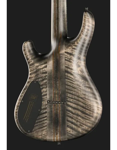 Mayones Guitars Regius 7 TDRG, detalje 5