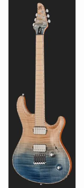 Mayones Guitars Regius Core 6 AMH, detalje 2