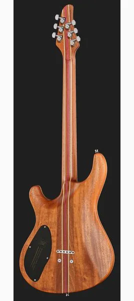 Mayones Guitars Regius Core 6 AMH, detalje 3