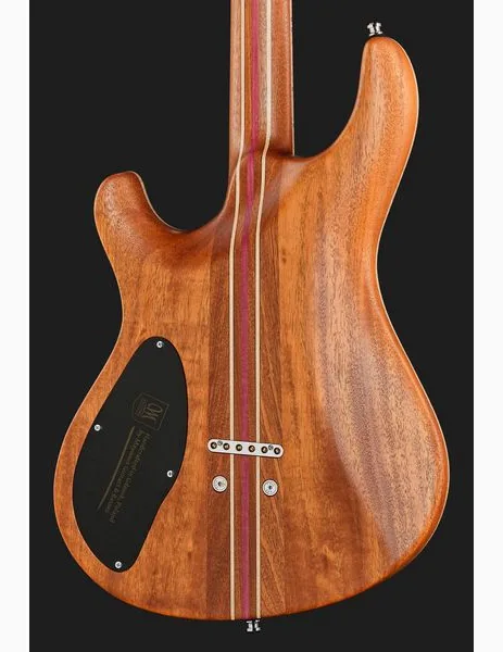 Mayones Guitars Regius Core 6 AMH, detalje 5