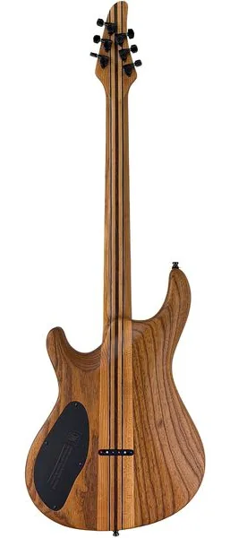 Mayones Guitars Regius Core 6 Poplar, detalje 2