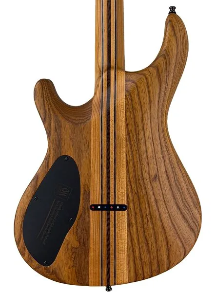 Mayones Guitars Regius Core 6 Poplar, detalje 4