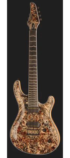 Mayones Guitars Regius Core 7 Trans Graphite, detalje 2