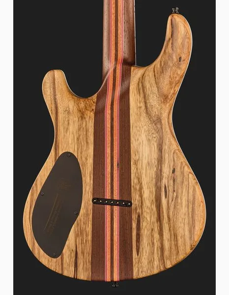 Mayones Guitars Regius Core 7 Trans Graphite, detalje 5
